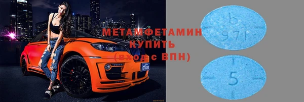шишки Белокуриха