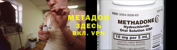 шишки Белокуриха