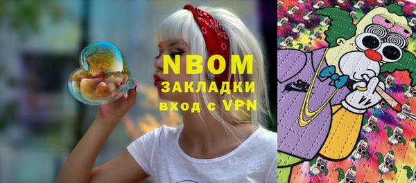шишки Белокуриха