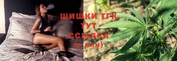 шишки Белокуриха