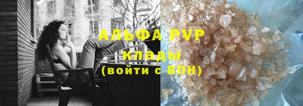 шишки Белокуриха