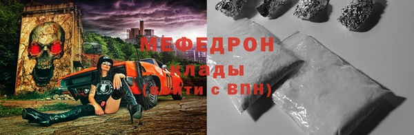 шишки Белокуриха