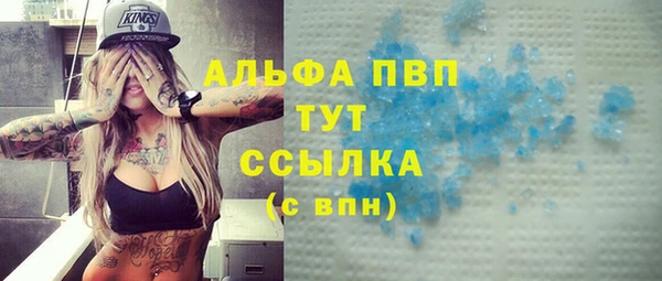 шишки Белокуриха